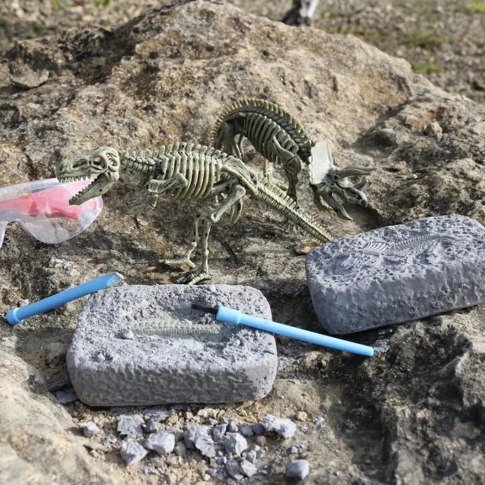 Dinosaur Excavation Gift in a Tin