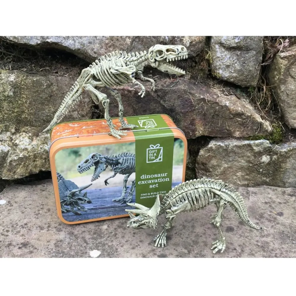 Dinosaur Excavation Gift in a Tin