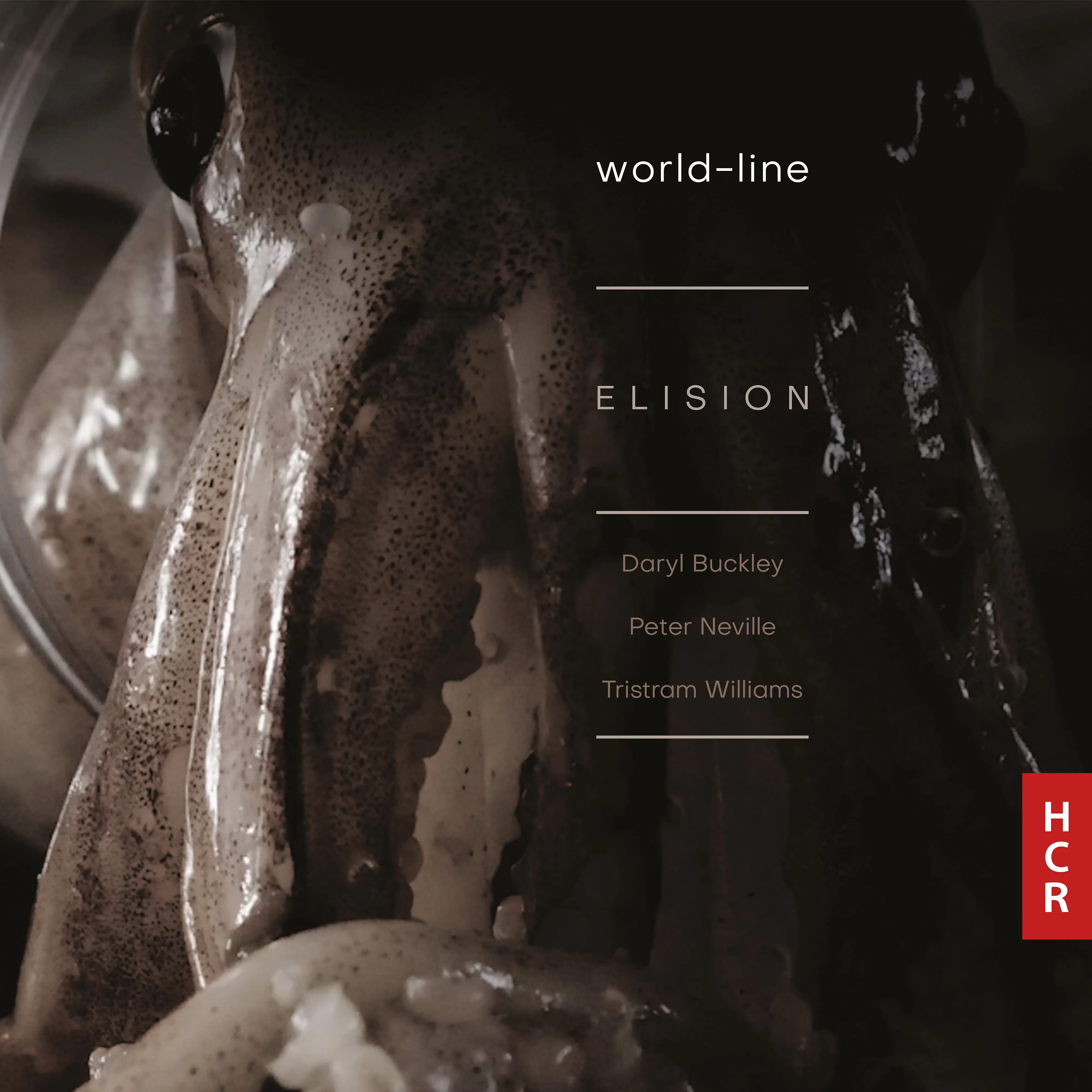ELISION Ensemble: world-line